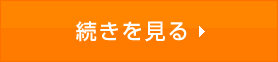 続きを見る